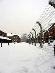  Auschwitz in inverno - Auschwitz in the winter