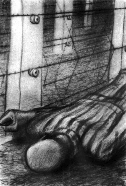  Contro il filo, Auschwitz  Jerzy Adam Brandhuber -  Drawings from Nazi Concentration Camps