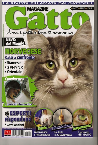 Gatto Magazine