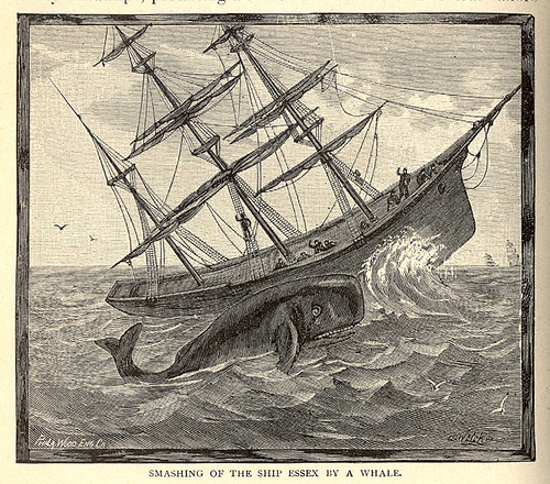 Smashing of the ship Essex by a whale