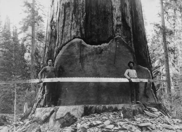 Two lumberjacks with their tool