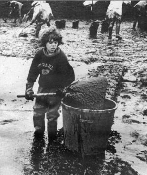 Portsall, marzo 1978. Un ragazzino a spalare petrolio dalla spiaggia.