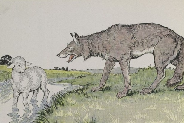 Lamb vs Wolf