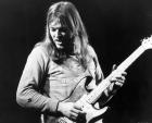 David Gilmour