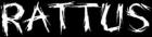 Rattus