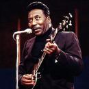 Muddy Waters