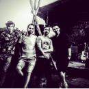 Folletti del Grande Bosco