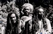 Israel Vibration Israel Vibration