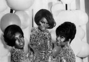 The Supremes The Supremes