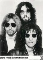 David Peel & The Lower East Side