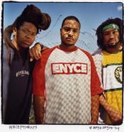 The Perceptionists The Perceptionists