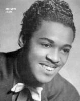 Andrew Tibbs Andrew Tibbs