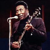 Muddy Waters Muddy Waters
