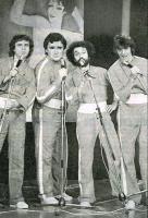 Gatti di Vicolo Miracoli