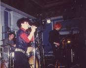 Flowers in the Dustbin