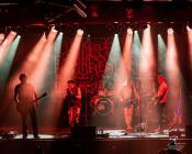 Pussies on the Dancefloor