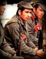 I soldati ed i papaveri furono i protagonisti