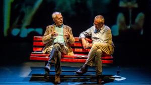 Marco cavallo e Sumud Flotilla