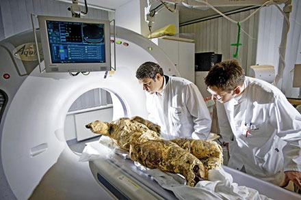 Michael Tsokos ed il cadavere di Rosa Luxemburg