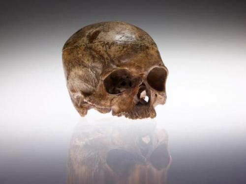 Nat Turner Skull