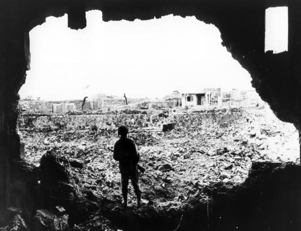 さとうきび畑 [In a Large Field of Sugarcane]