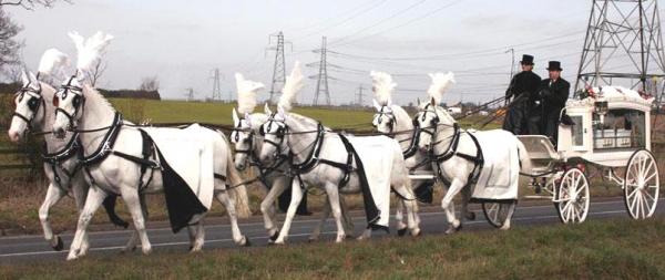 [[https://www.ginder.co.uk/wp-content/uploads/2015/07/09-Six-in-Hand-White-Horses-and-Carriage.jpg|]]