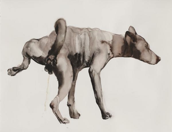 Fiona McMonagle - Pissing dog,. 2013