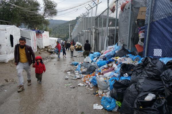 Olive Grove foto di Annalisa Camilli