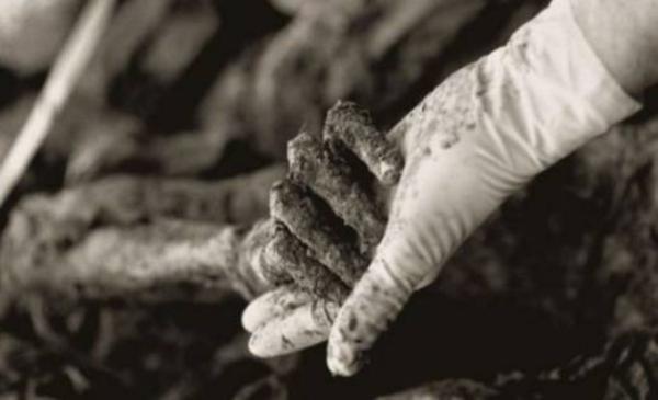 Genocidio di Srebrenica, luglio 1995