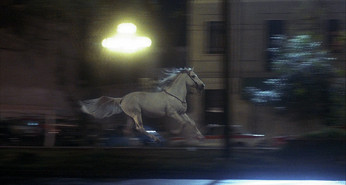 “Missing” di Costa Gavras, la scena del cavallo bianco