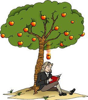 Newton Newton