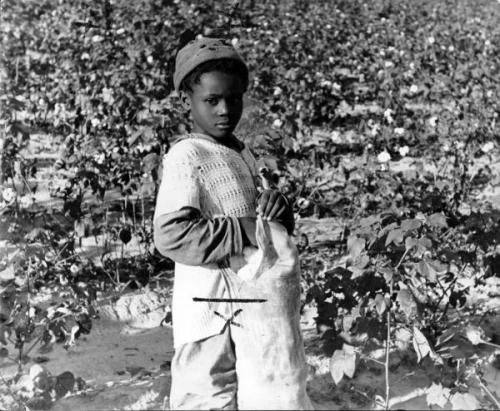 Child in the cottonfield, 1937