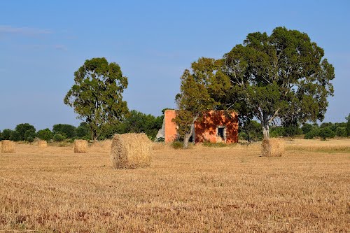 Li muerti te la zappa