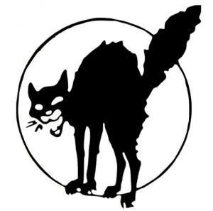 Anarchist back cat