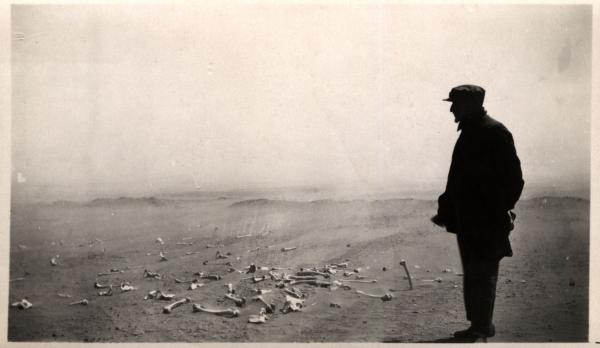 Resti umani a Deir Ez-Zor, 1916