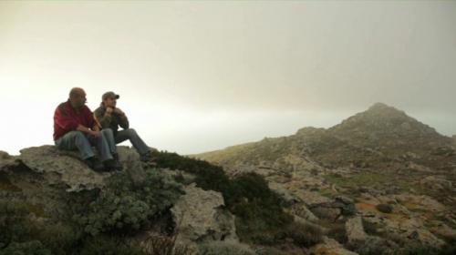 Asinara Pugni Chiusi