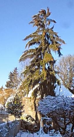 Pour vivre juste le temps