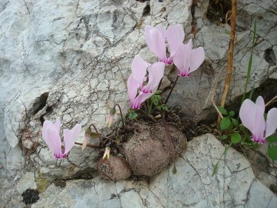 Τα 18 λιανοτράγουδα της πικρής πατρίδας