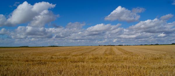 Paysage de la Beauce