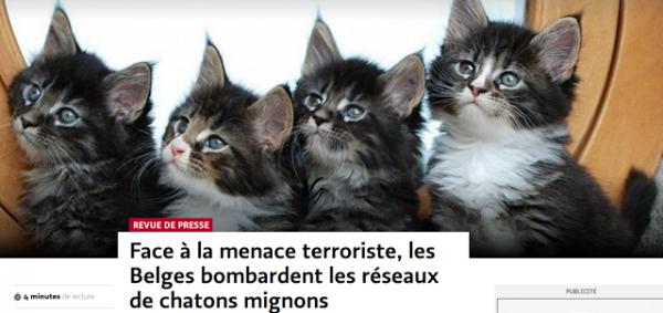 Chansons Contre La Guerre La Queue Du Chat