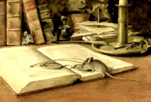 Rat et livre
