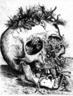 “The worms crawl in and the worms crawl out”