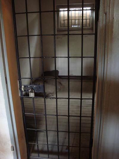 Una cella del campo di concentramento di Sachsenhausen