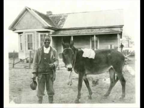 Sylvester Harris con il suo mulo Jesse, 1934