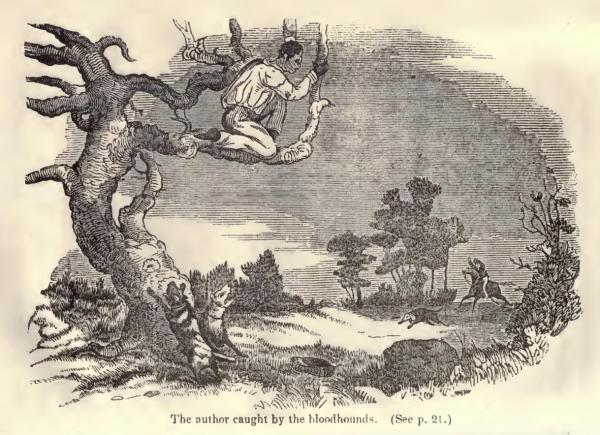 Hell hound on my trail (Tavola da  "Illustrated Edition of the Life and Escape of Wm. Wells Brown from American Slavery", by Wm. Wells Brown, Written by Himself, 1851)