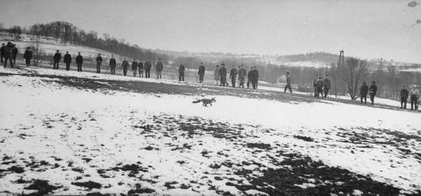 Il rastrellamento...