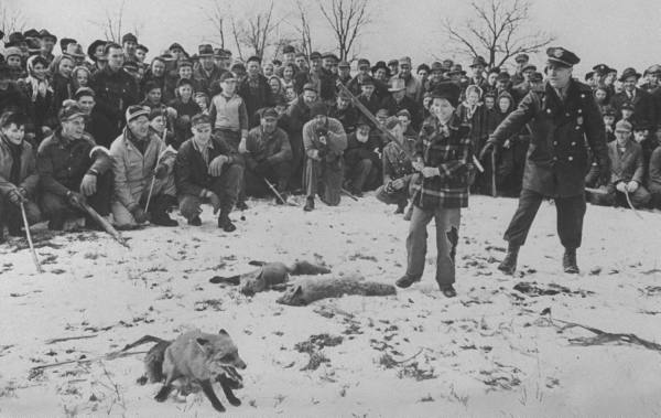 Anche ai ragazzini viene insegnato come si fa...