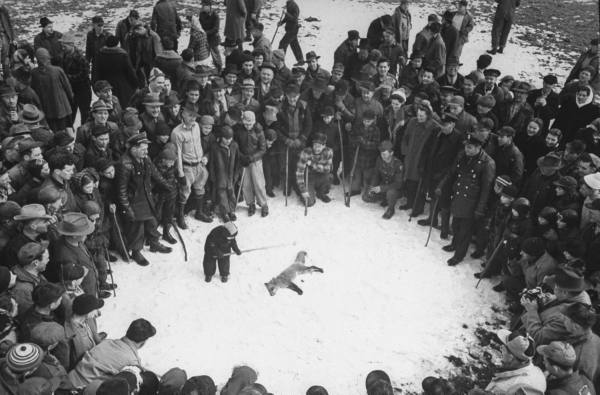 La mattanza è finita...