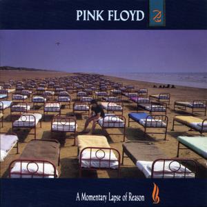 A momentary Lapse of Reason
