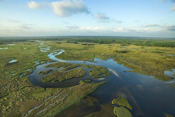 Everglades, Florida